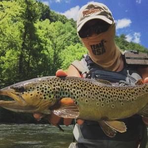 Meet your Posher, Josh